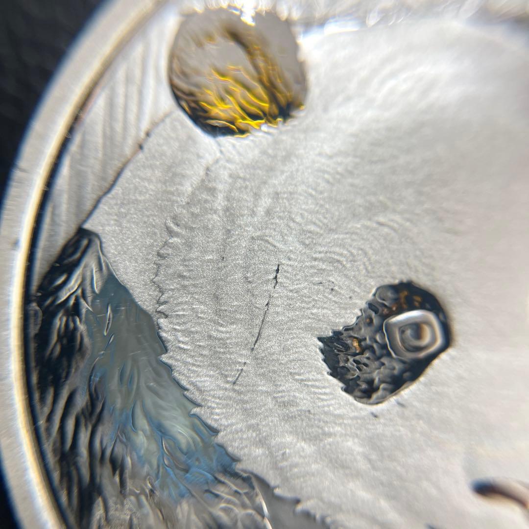 【2018年】パンダ銀貨　10元　カプセル付き②