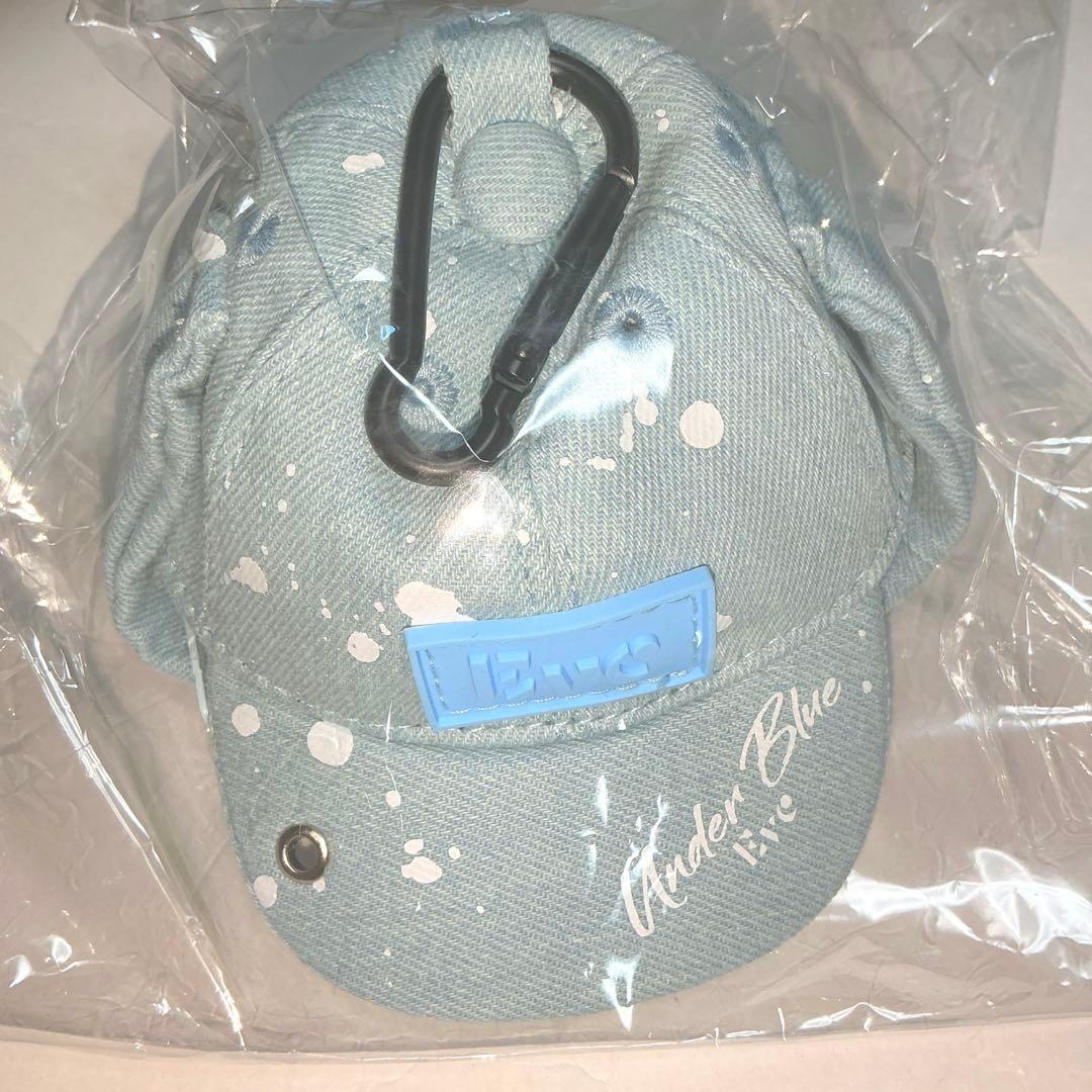 24時間以内発送！Eve くじ キャップポーチ underblue