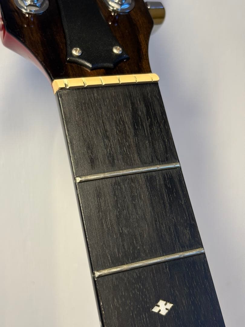 【超美品】Taylor 214ce RED DLX ES2 2019 ケース付