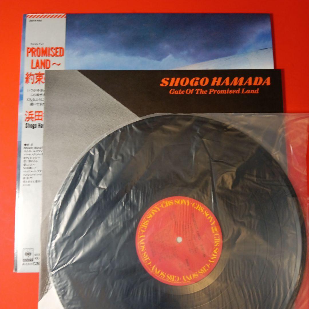 浜田省吾　LP レコード　10枚セット　まとめ売り