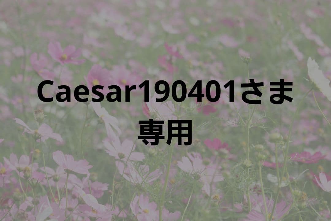 Caesar190401さま専用