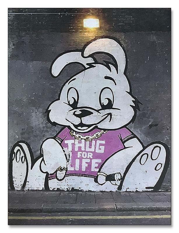 額装品/ThugForLifeBunny/バンクシー/ポスター/インテリア/貴重