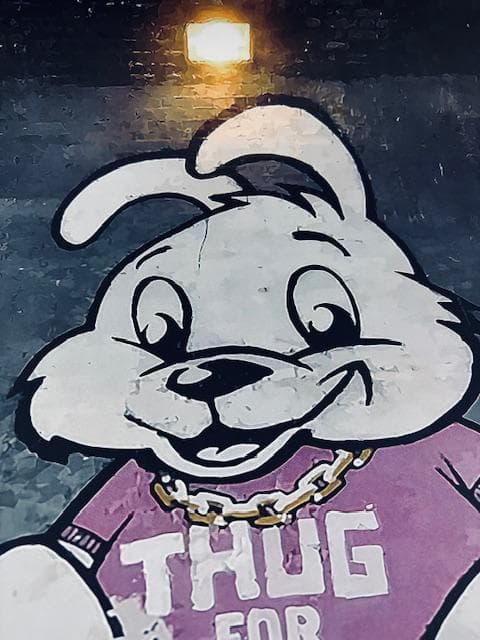 額装品/ThugForLifeBunny/バンクシー/ポスター/インテリア/貴重