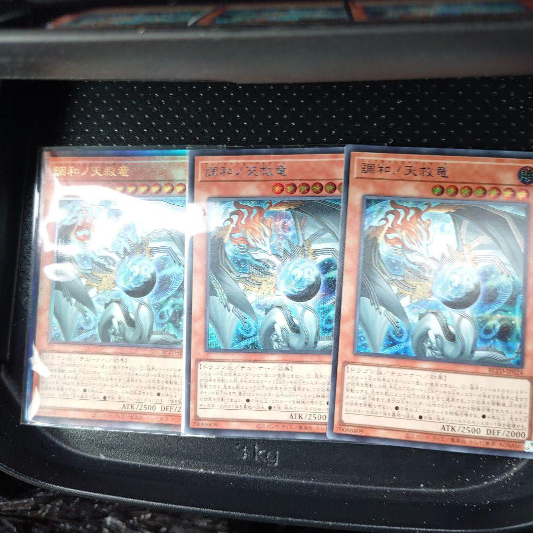 遊戯王　調和ノ天救竜　レリーフ　シークレット