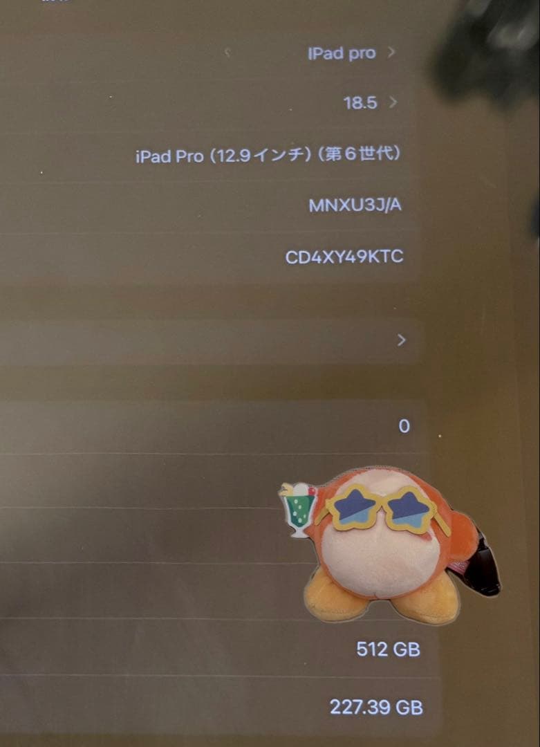 iPad pro 512GB 第6世代 WiFiモデル スペースグレイ 箱あり