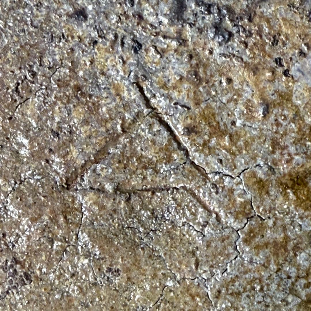 人間国宝　備前焼の巨匠　山本陶秀　「耳付花入」　本人作　共箱　高さ23.5cm