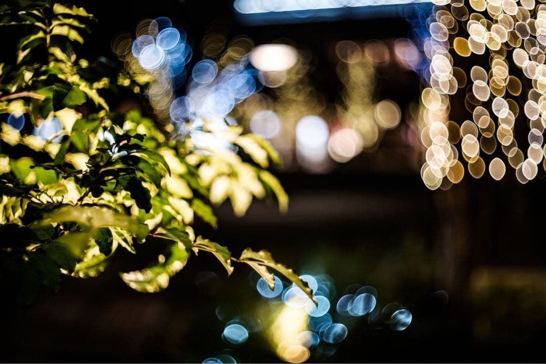 【美品】OLYMPUS F.Zuiko Auto-S 38mm f1.8