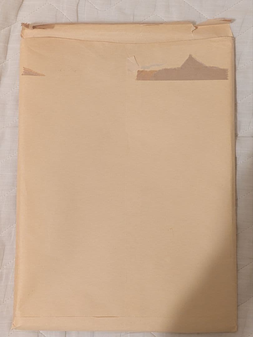 鬼滅の刃 吾峠呼世晴 複製サイン色紙 ジャンプGIGA 2020 SUMMER