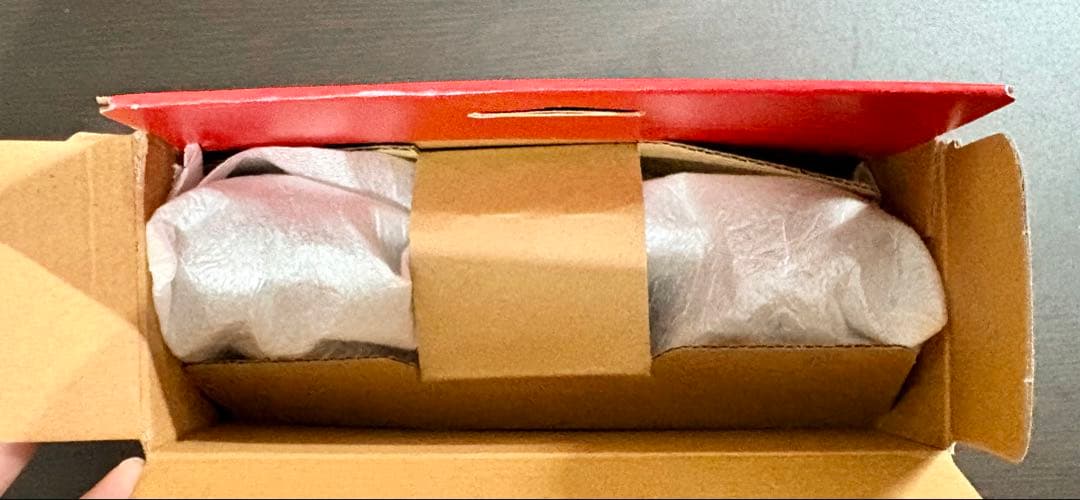 【スティックドラフト品】Switch 本体 プロコン SDカード