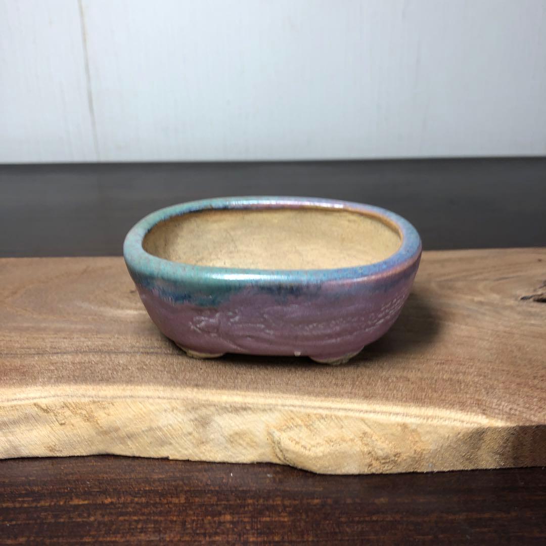 【名品】　岡谷是心　小品盆栽鉢　山野草鉢