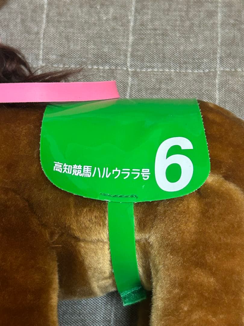 高知競馬 ハルウララ号 6 ぬいぐるみ