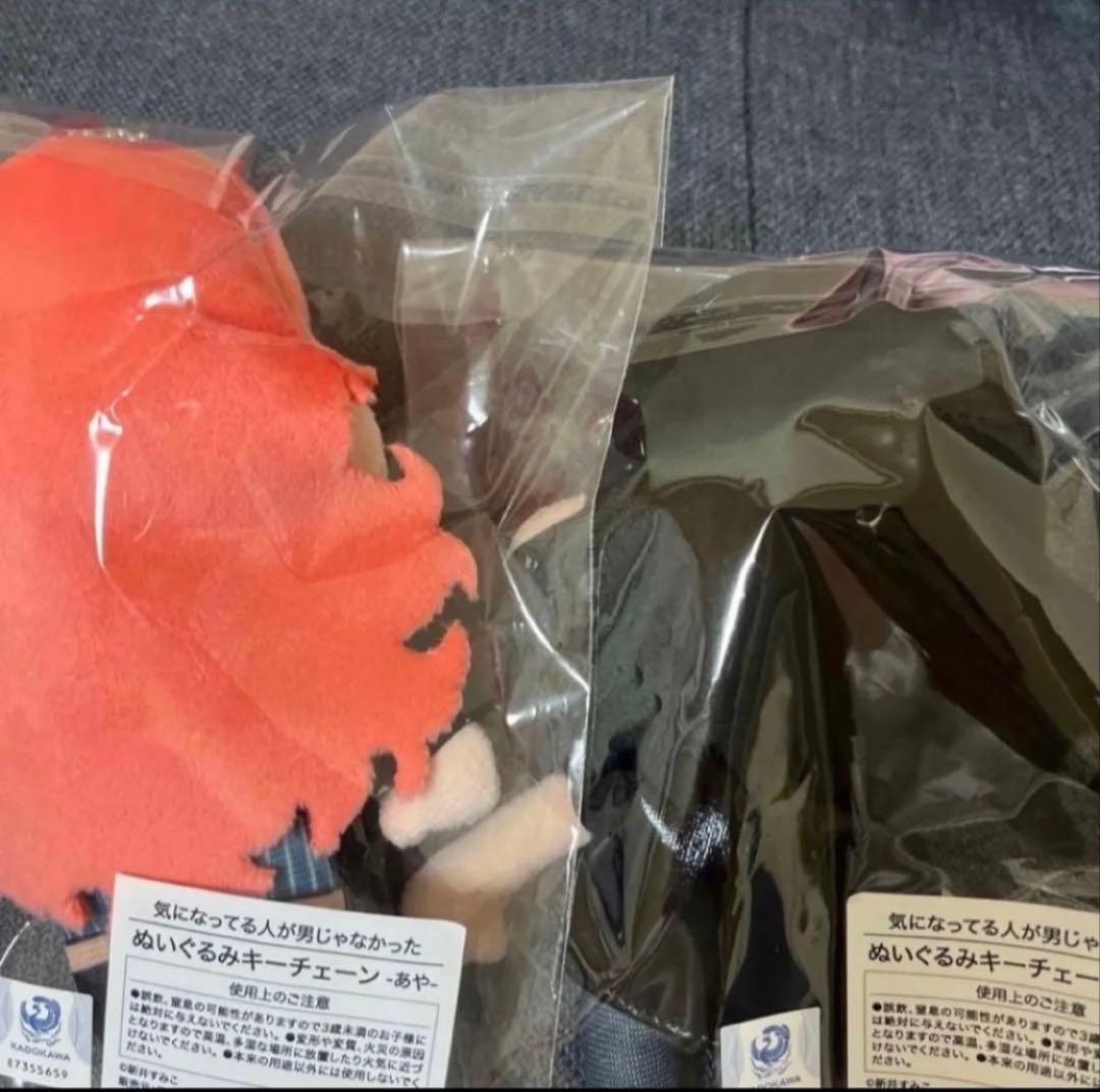 気になってる人が男じゃなかった　ぬいぐるみキーチェーン　チャームつきカラビナ