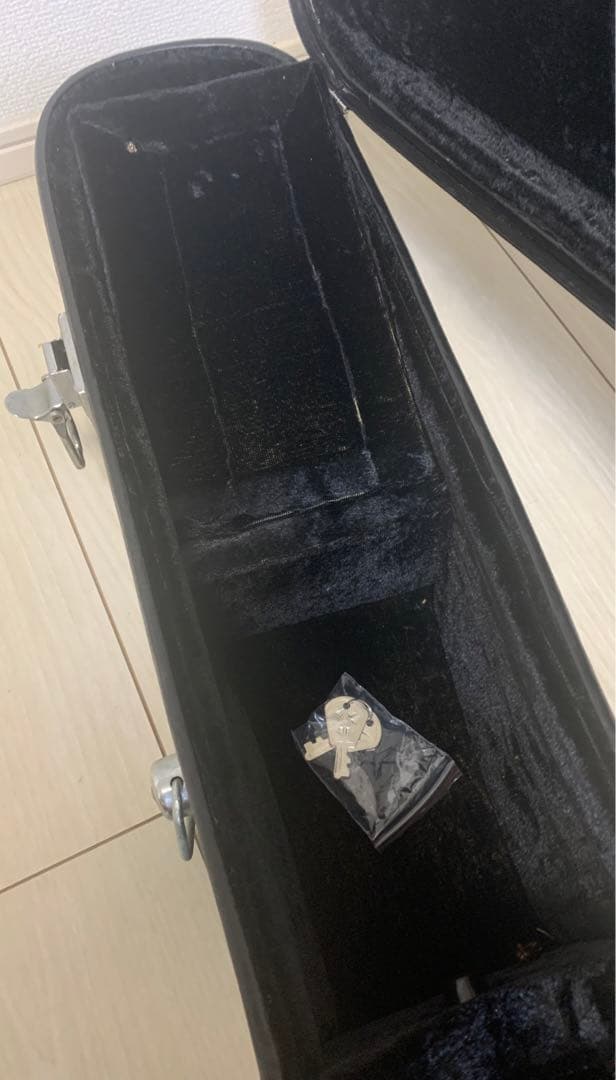 Sepia Crue アコースティックギター　Ｗ－100-N ハードケースセット