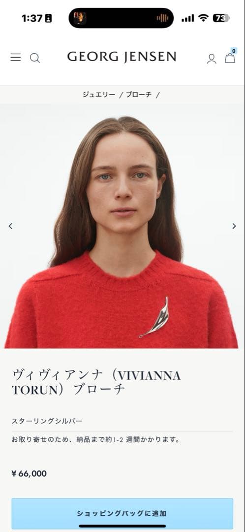   ヴィヴィアンナ ブローチ