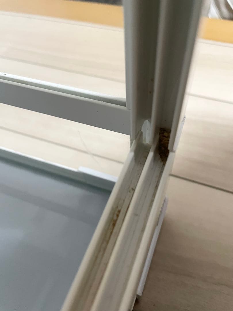 爬虫類・小動物飼育用組み立て式ガラスケース　PANTHEON　パンテオン