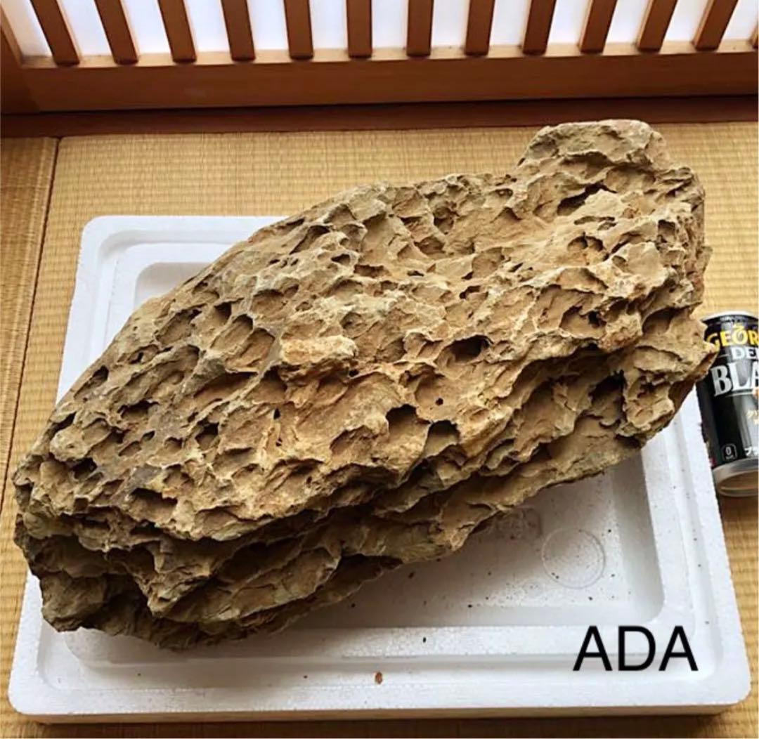 ADA 巨大黄虎石【希少】11kg巨岩親石 美形 気孔石