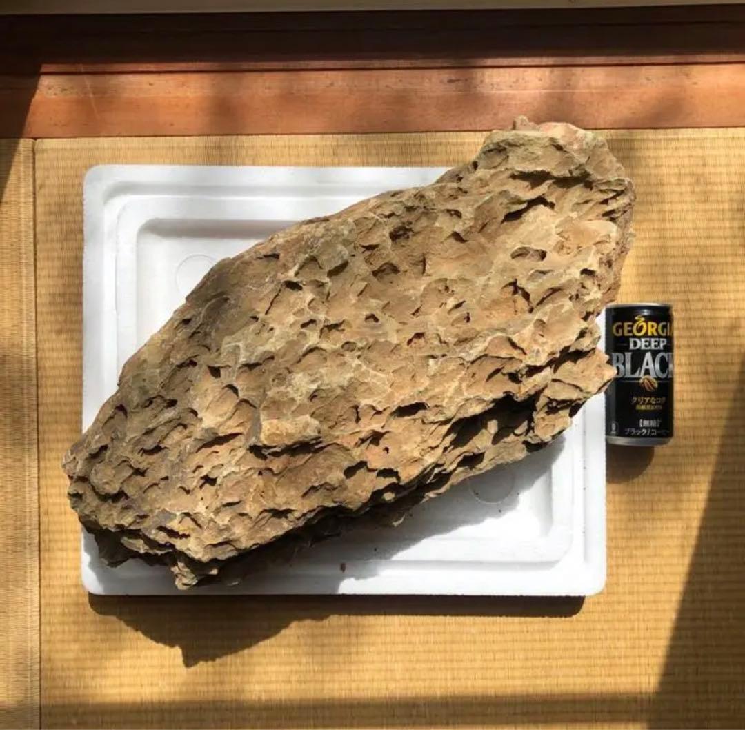 ADA 巨大黄虎石【希少】11kg巨岩親石 美形 気孔石