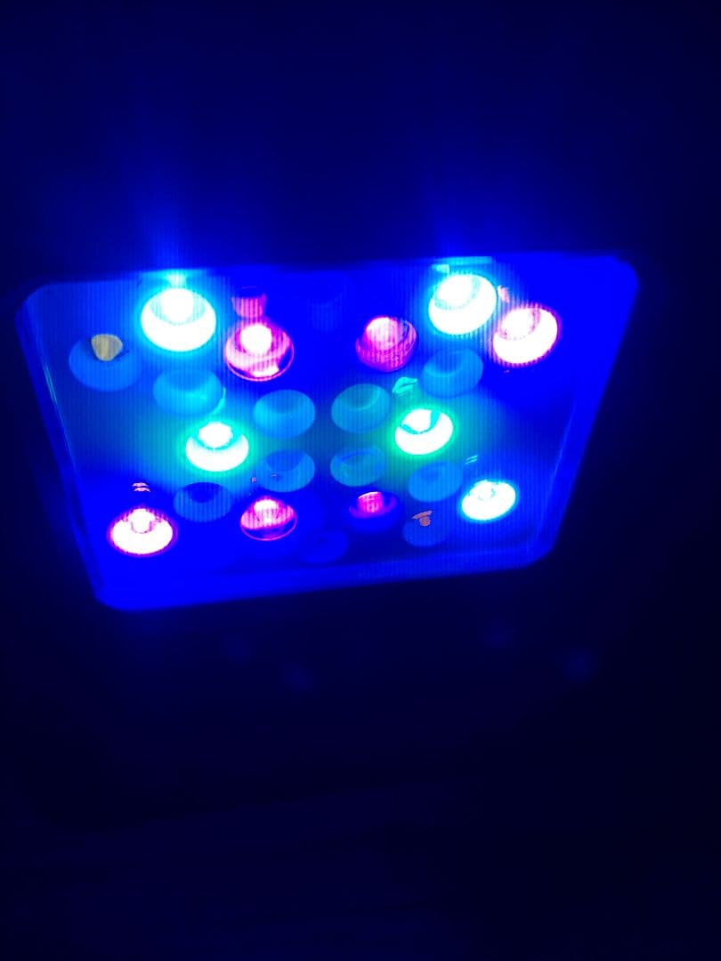 ボルクスジャパン　グラッシーコア X120