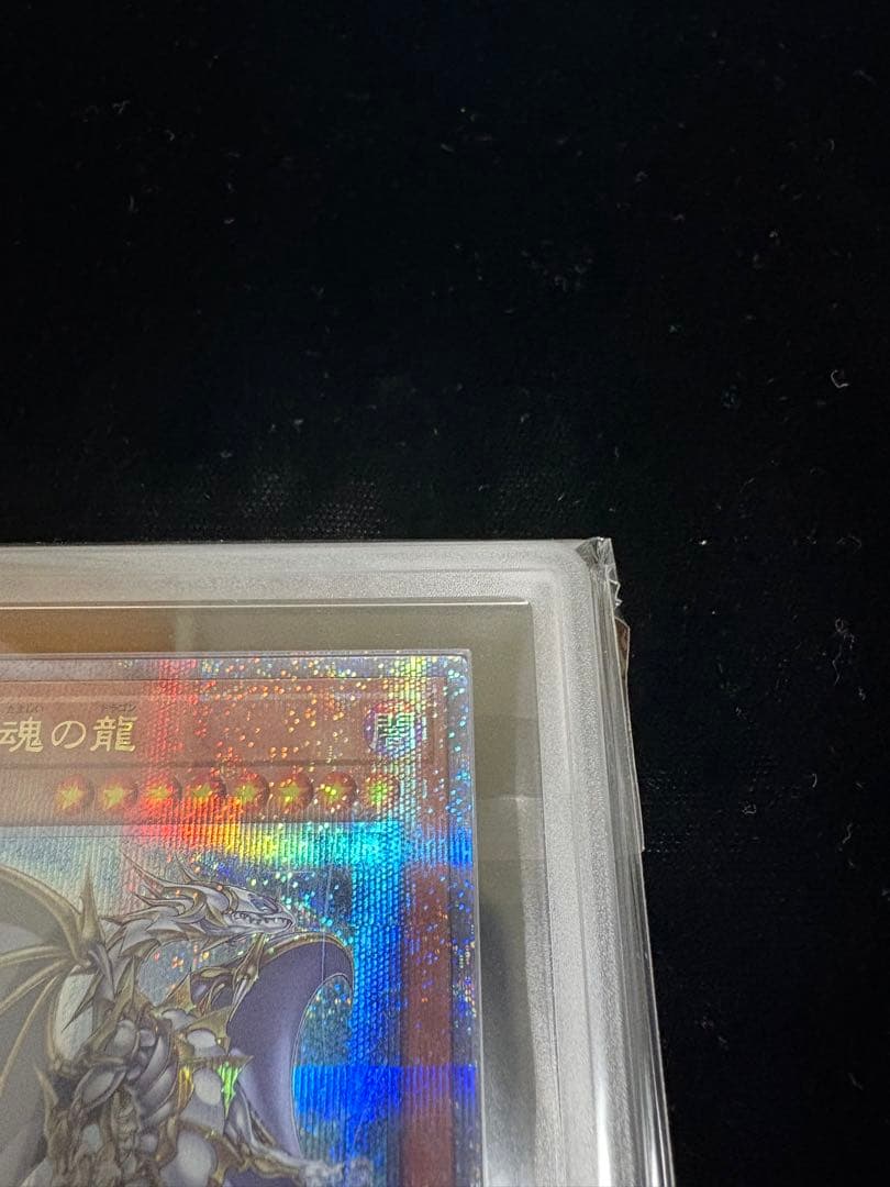 【ARS10】誇りと魂の龍 日版 25th クオシク　鑑定書付き【ほこたま】