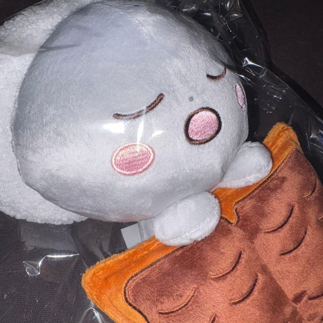 RIIZE ウンソク　ソンヨンドリ　らいずし　ぬいぐるみ　グッズ まとめ売り