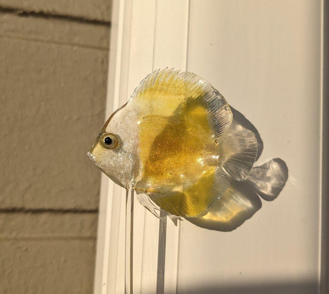 確認用　ゴールデンマルボロレッド