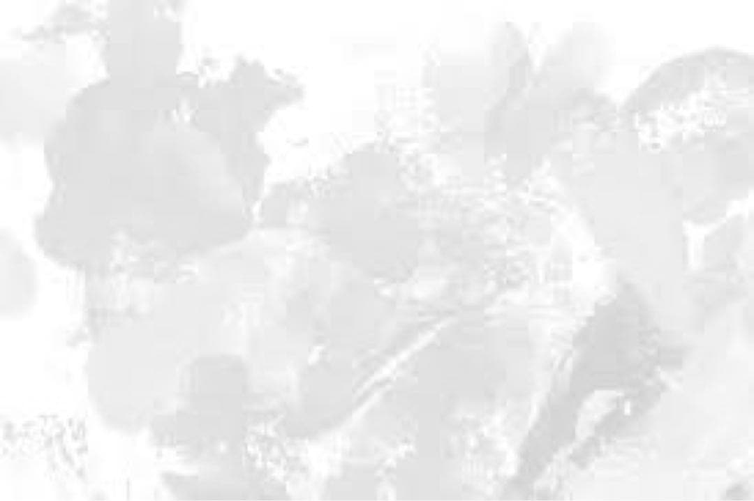 MEGAドリームEX 5箱セット⭐︎ Robby 「再シュリンク❌ー純正品」