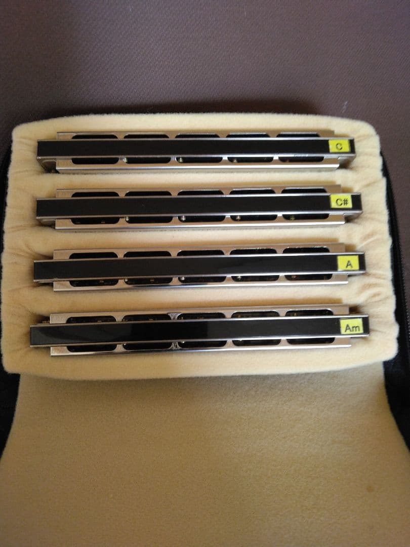 複音ハーモニカ、C調・C#・A調・Amの4本セット