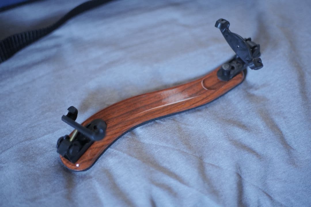 Hallstatt エレキバイオリン