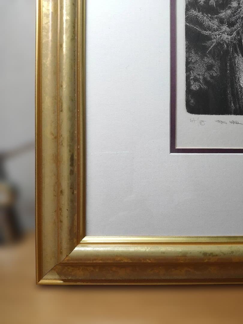 Albin Brunovsky 　アルビン・ブルノフスキー　版画　額