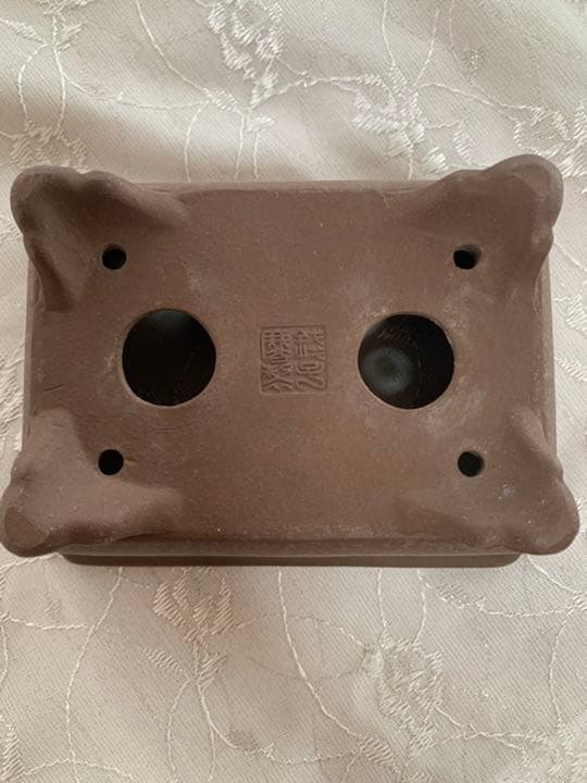 銭号　盆栽鉢　長方