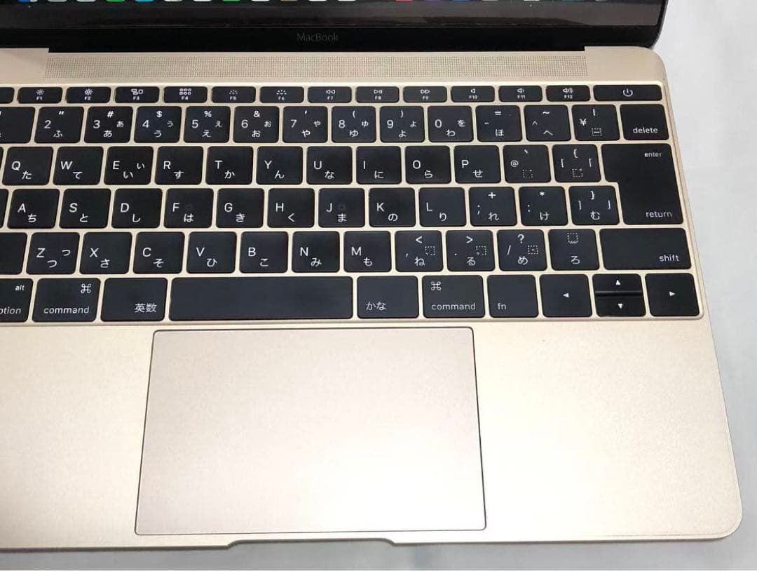 MacBook Retina12インチ Early 2015 8GB 256GB
