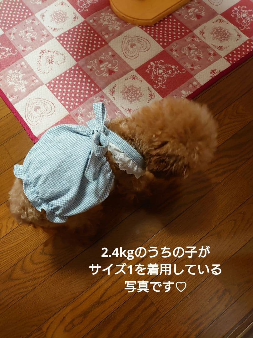 犬服 ハンドメイド ワンピース ギンガムレッド