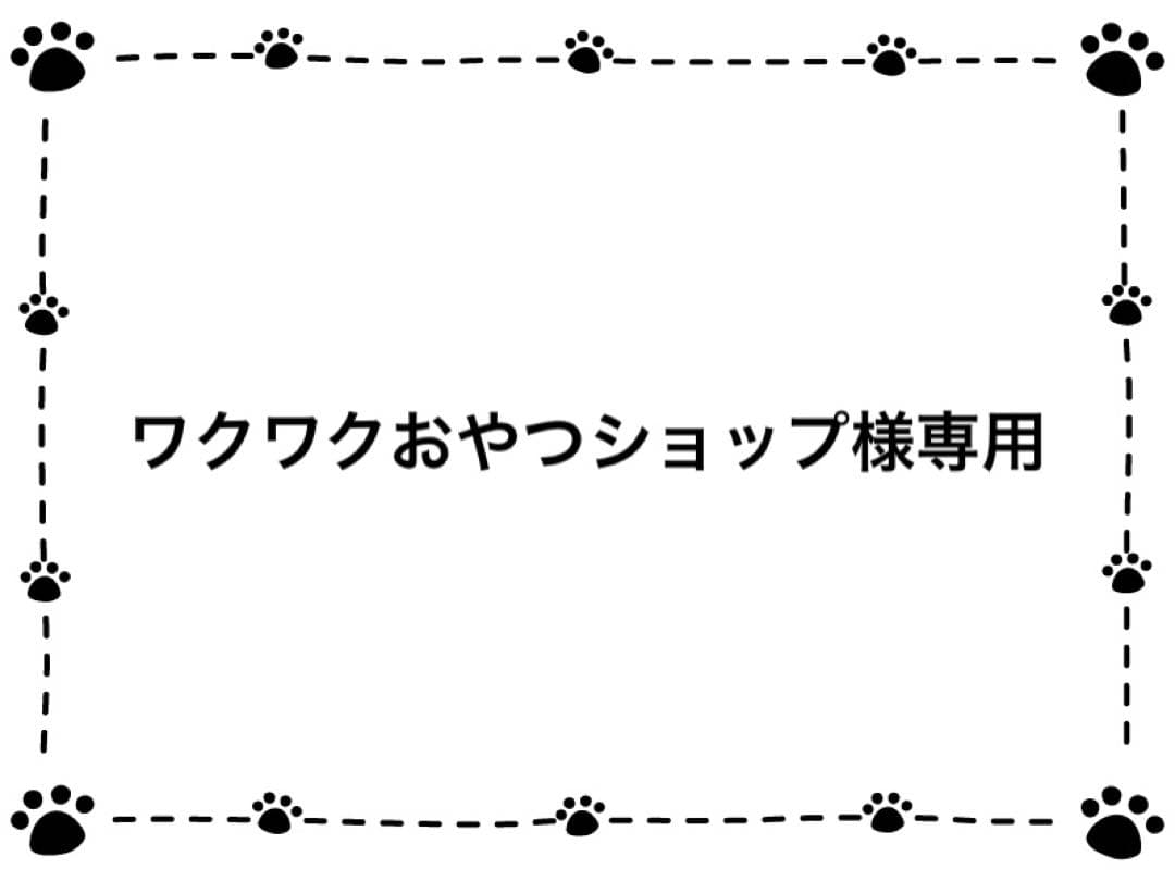 ⑨NC成犬 超小型犬〜小型犬 ラム 16kg