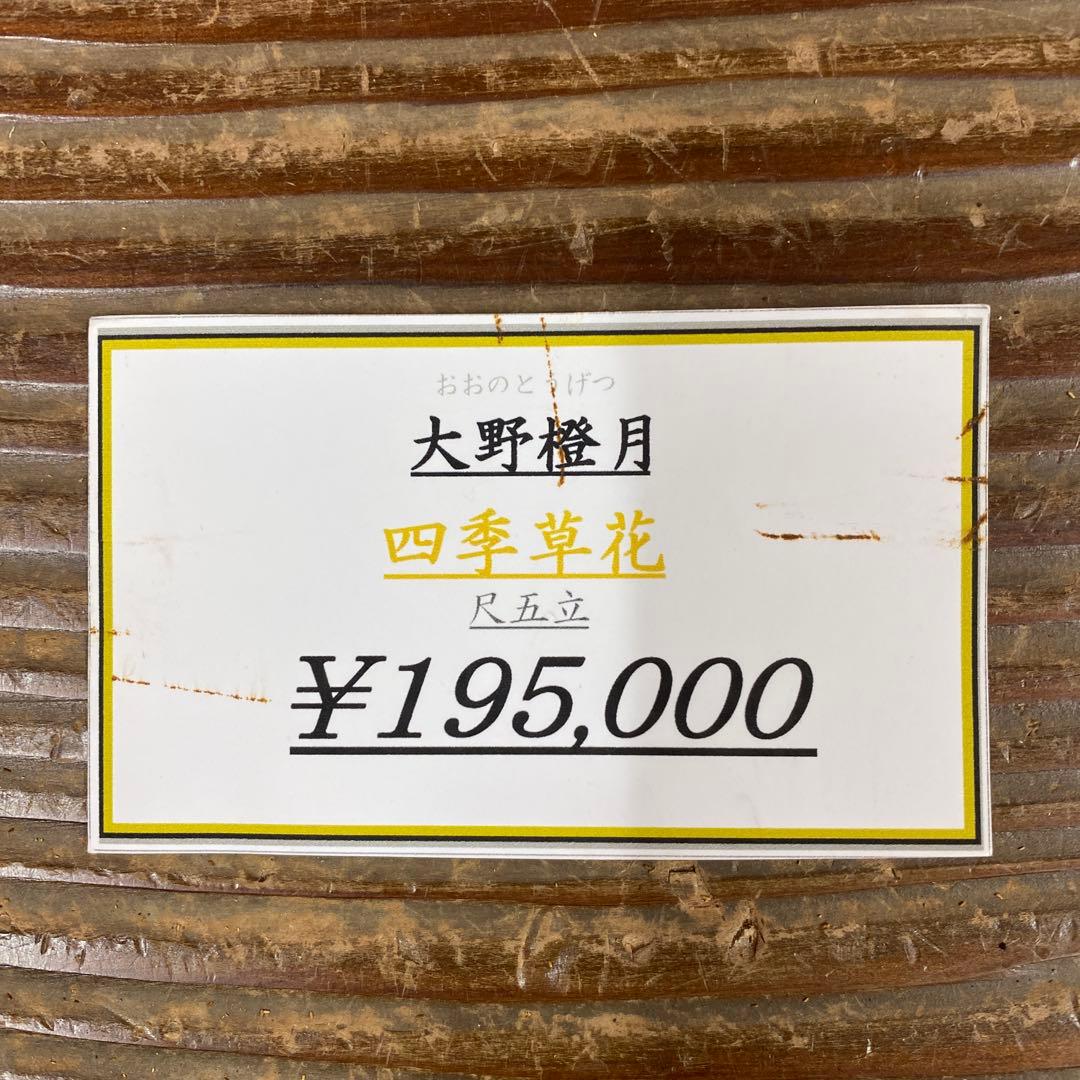 美品 掛け軸 大野橙月作 四季草花図 共箱 太巻き付 花鳥 南天 牡丹 縁起物