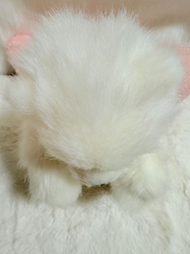 ☆チャーリーベアーズ☆ Daria ☆テディベア