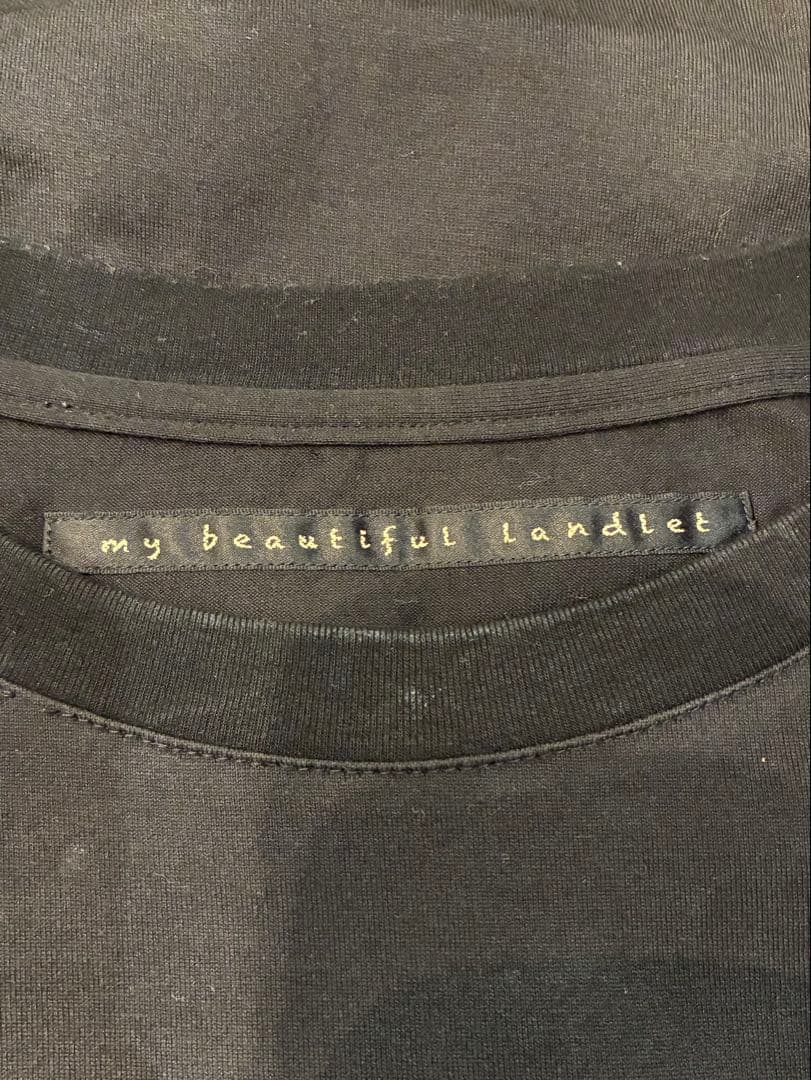 【24AW my beautiful landlet プリントフリーサイズT】