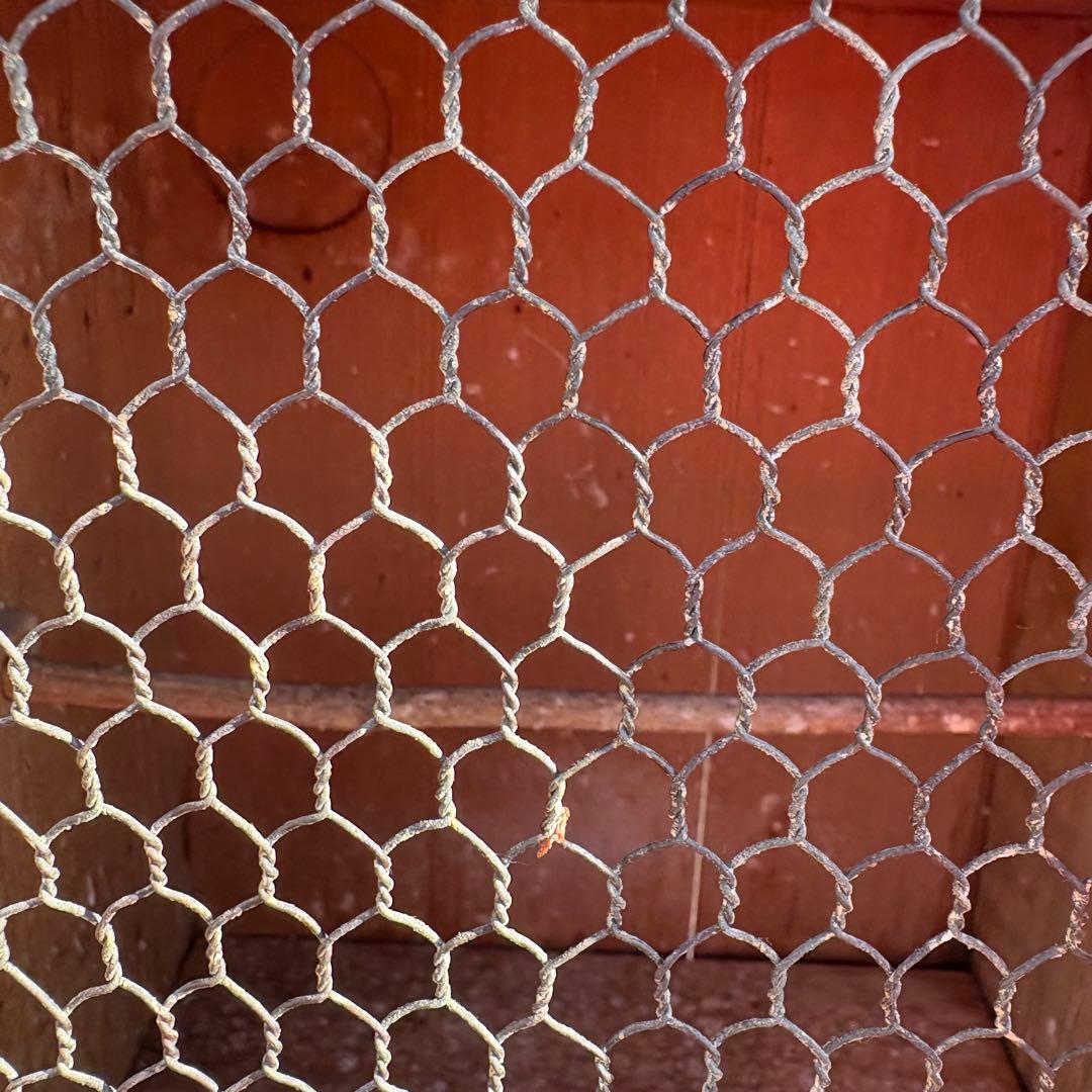 昭和レトロ 木製 飼育箱 小動物 小鳥 鳥かご 巣箱 引き出し古道具 めじろ箱