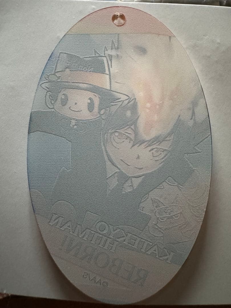 天野明展　沢田綱吉　アクリルキーホルダー