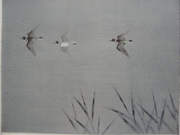 上村 敦之 【小千鳥】 希少画集画、状態良好、新品高級額装付