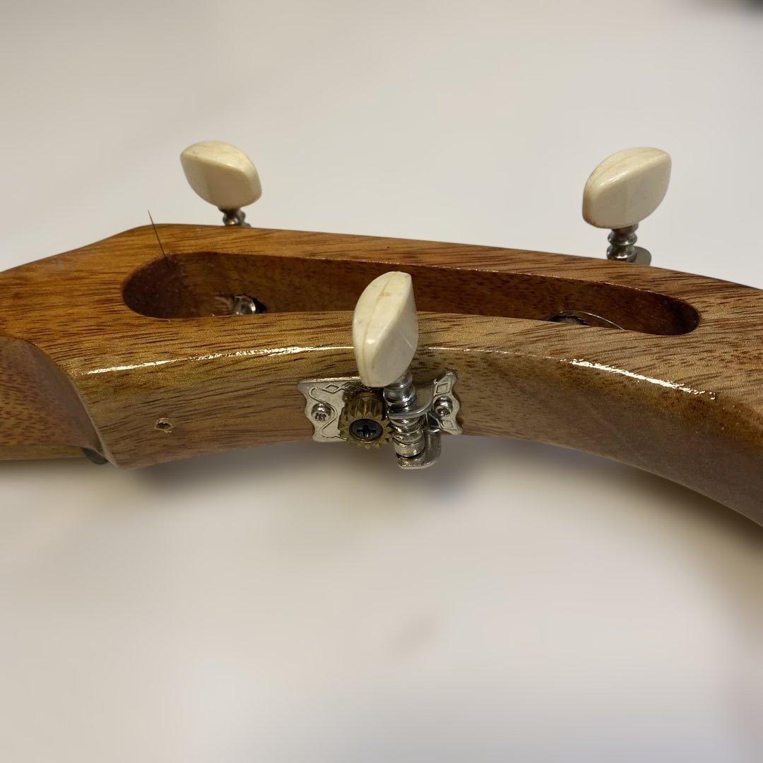 タイ 伝統楽器 エレクトリックピン 三弦 バンコク 民俗楽器 ピン ほぼ未使用