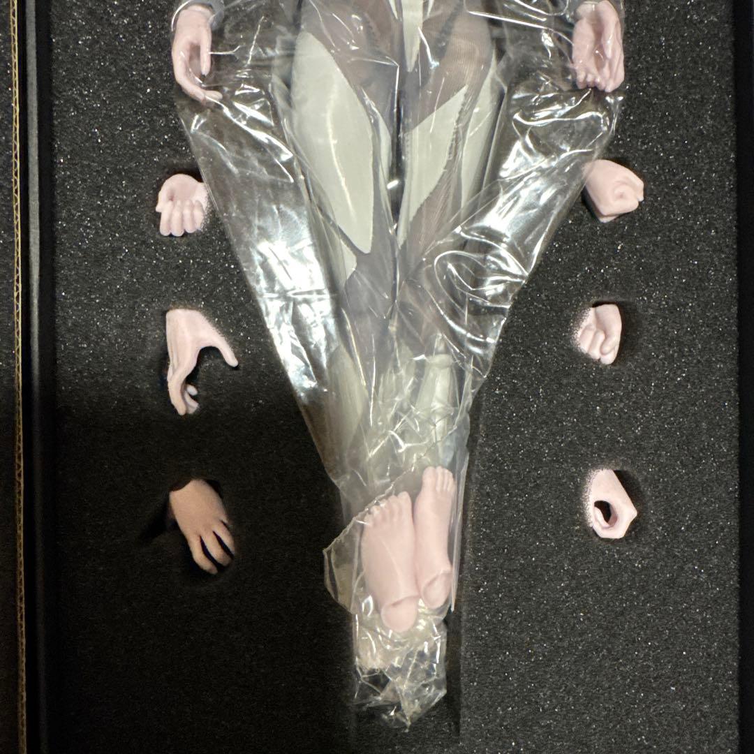 COREPLAY コアプレイ 1/6 Fitness Body 2体セット　素体