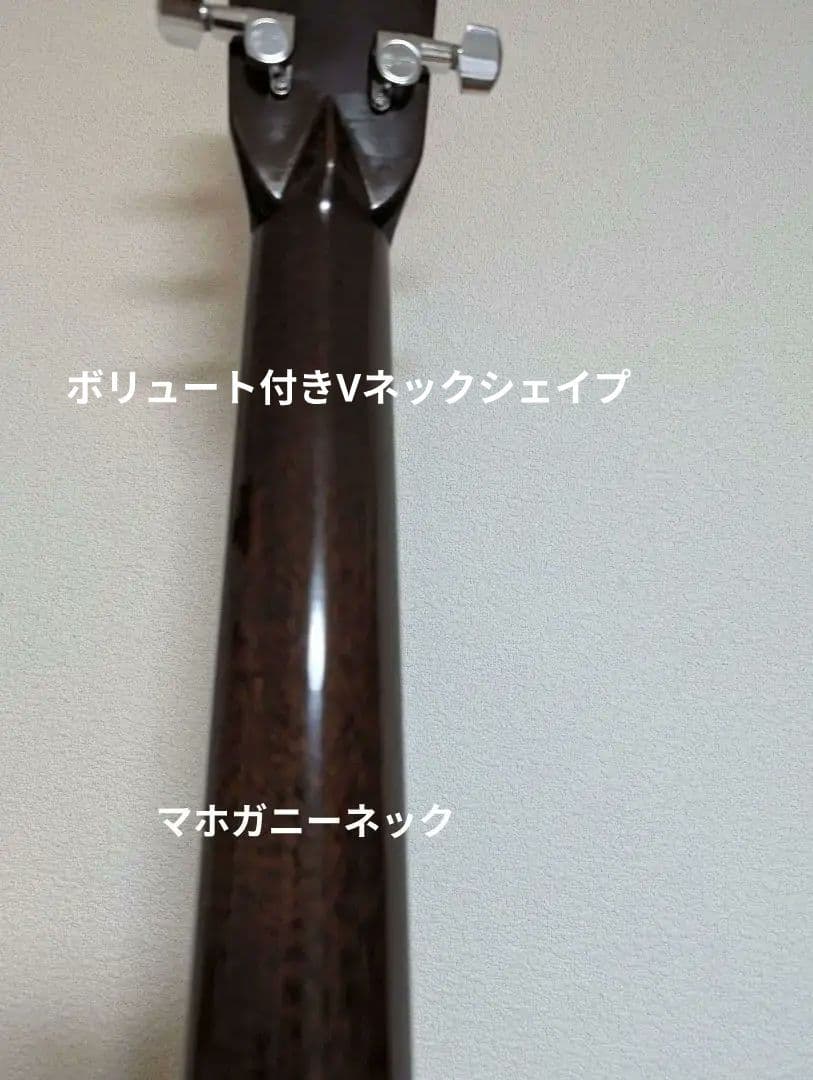 Martin マーチン HD-28V custom