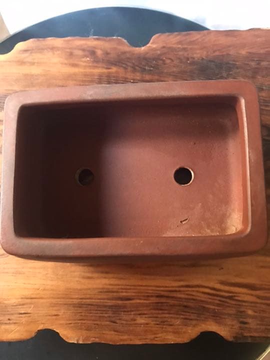 ⑧ミニ盆栽鉢 中国宜興 朱泥袋式長方鉢11cmx7.3cm x4.3cmおまけ付