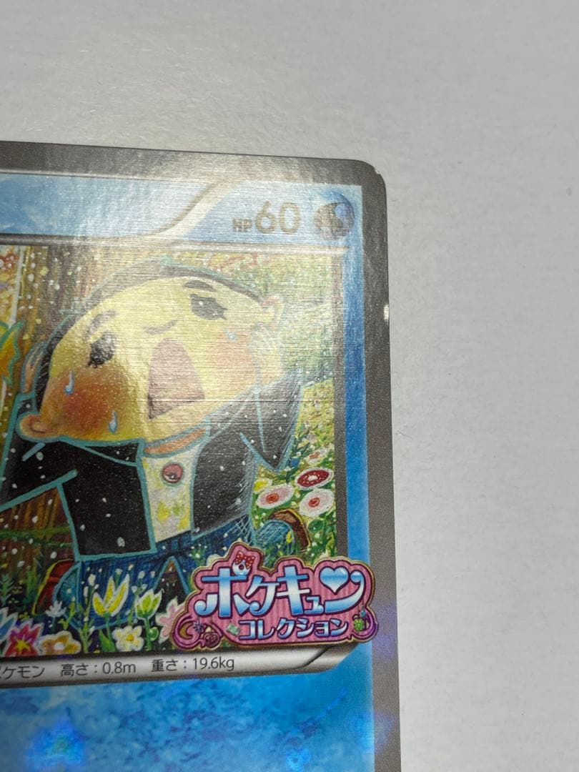 XY-P コダック　ポケキュンコレクション キャンペーン　プロモ