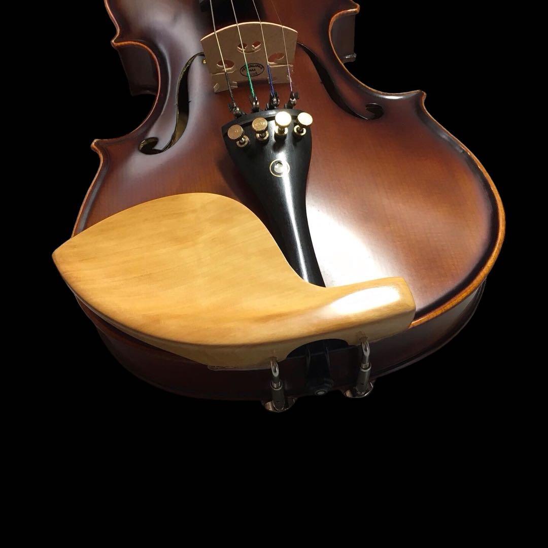 日本産柘植　ボックス　クローソン　セミヒル