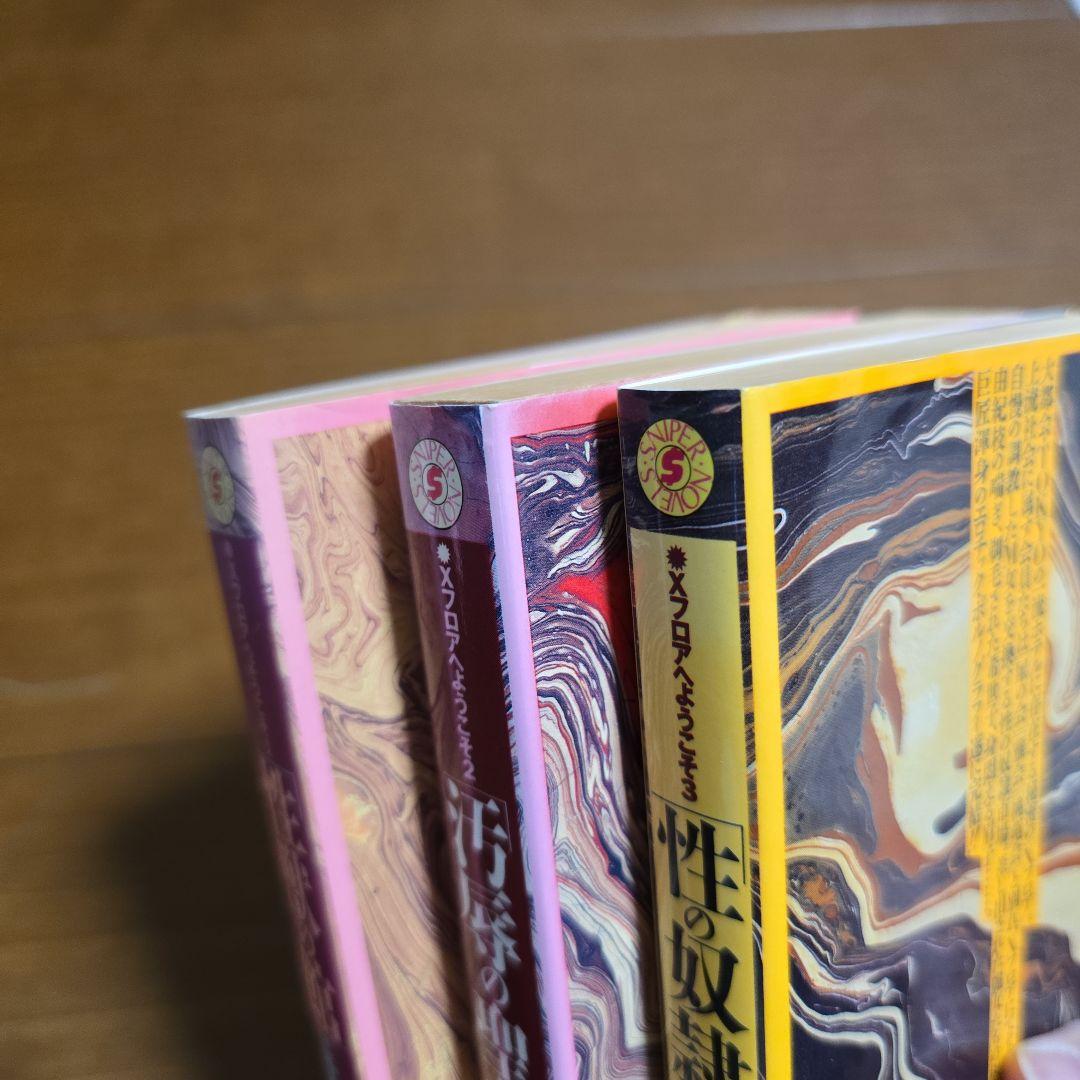 千草忠夫　Ｘフロアへようこそ　全３巻　性獣の館　汚辱の聖女　性の奴隷市場