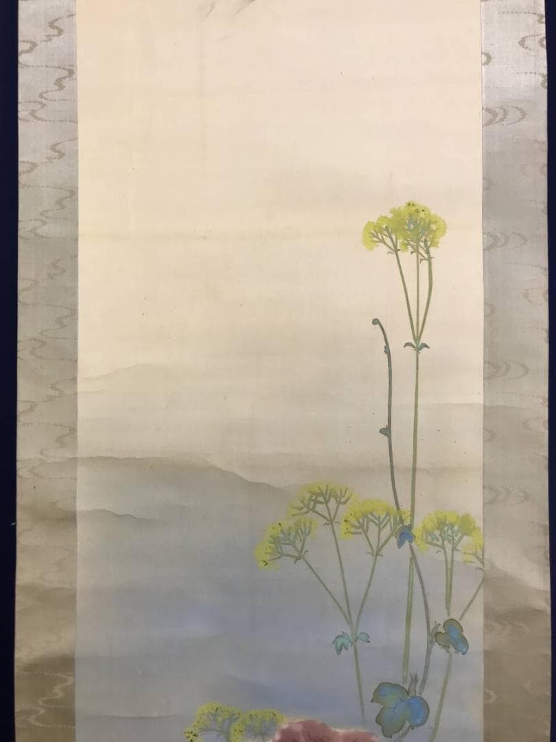 真作/雑喉紅朝/朝顔/オミナエシトンボ図/夏の花図/掛軸/名家伝来/AD-876