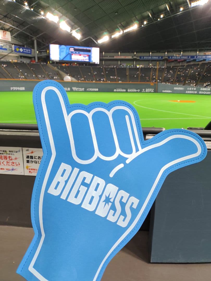 ビックボスハンド