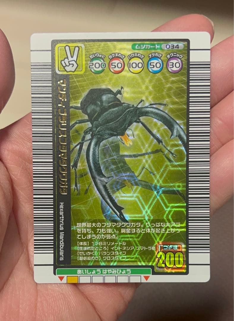 ムシキング　マンティブラリスフタマクワガタ　タランドゥスツヤクワガタ　セット