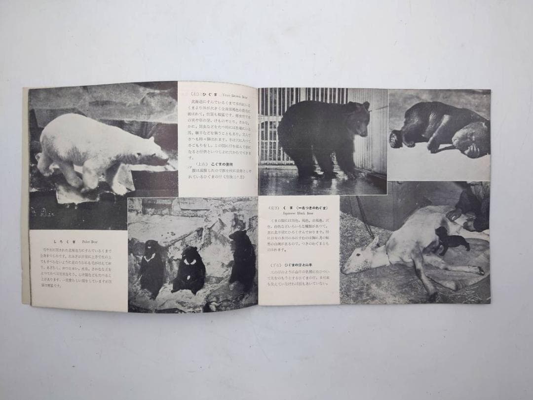 京濱鳥獣貿易 動物価格表 & 札幌 円山動物園 どうぶつぐらふ